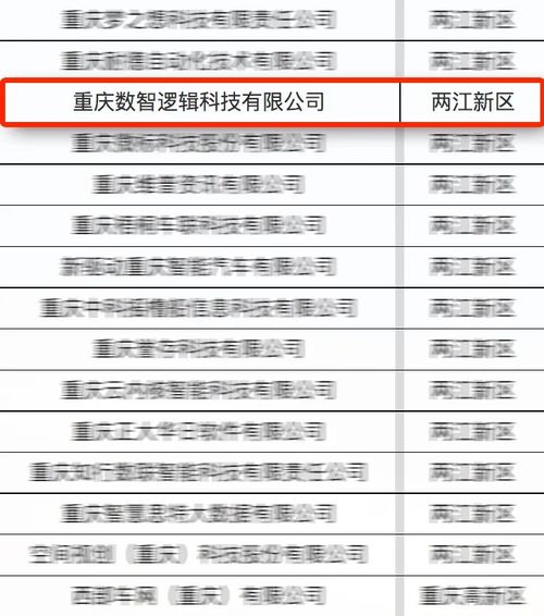 亞信科技數智邏輯榮膺重慶“滿天星”示范企業(yè)，以專業(yè)策劃與公關服務賦能產業(yè)躍升